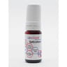 Concentré speculoos 10 ml lorliquide