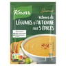 Knorr soupe velours de légumes d'automne aux 5 épices