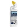 Canard gel nettoyant formule sans acide fort vague oceane 750ml