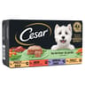 Cesar pâtée pour chien 4 variétés en terrine 4x150g