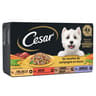 Cesar pâtée pour chien 4 variétés en sauce 4x150g