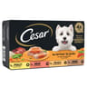 Cesar pâtée pour chien aux légumes en terrine 4x150g