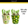 Jonquilles tete a tete p12 couvre pot