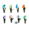 Orchidee phalaenopsis teinte 1 tige cascade
