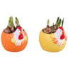 Narcisse en céramique poule