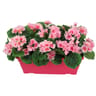 Géranium artificiel x3 en jardinière rose foncé