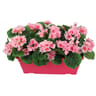 Géranium artificiel x3 en jardinière rouge