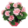 Géranium artificiel x2 en coupe rose foncé
