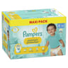 Pampers premium protection maxi t5 x76