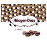 Haagen-Dazs coffee pot 460ml 400g