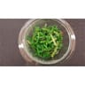 SALADE WAKAME ALGUES WAKAME
