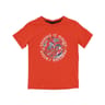 Tee shirt manches courtes garçon GRENADINE 17-1564 TPX 8 ANS
