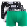 Lot de 3 boxers homme vibes Dim ATW POIS/RAYURES/VERT T3