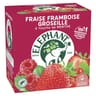 Elephant infusion fraise framboise groseille touche de menthe x20 - 40g