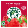 Elephant infusion fraise framboise groseille touche de menthe x20 - 40g
