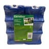 Lot d'accumulateurs de froid 2x650 gr pour canettes