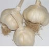 Ail flavor 500gr