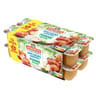Andros dessert fruitier sans sucre ajouté pomme 16x100g dont 4 offerts