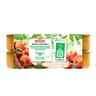 Andros dessert fruitier sans sucre ajouté pomme 16x100g dont 4 offerts