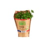 PERSIL PLAT BIO EN POT CARREFOUR BIO
