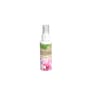 Engrais Orchidée PAE UAB en spray Carrefour 100ml