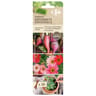 Engrais bâtonnets 5-3-5 UAB universel 30*0.7g=21g Carrefour