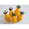 Tomate poire jaune barquette 6 plants