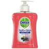 Dettol soft en skin savons main baies d'hiver 250ml