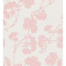 Tee shirt manches courtes femme ECRU AOP ROSE POP T50\52