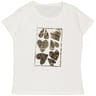 Tee shirt manches courtes femme ECRU ACBL008B T38/40