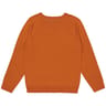 Pull manches longues femme AMBRE T38\40