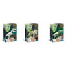 Assortiment archéo ludic
