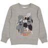 Sweat dragon ball z garçon GRIS DRAGON BALL Z 8 ANS