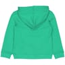 Sweat shirt capuche garçon VERT 12 ANS