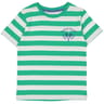 Tee shirt manches courtes garçon STRIPE VERT 12 ANS