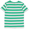 Tee shirt manches courtes garçon STRIPE VERT 12 ANS