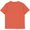 Tee shirt manches courtes garçon SAFRAN 12 ANS