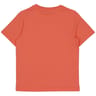 Tee shirt manches courtes garçon SAFRAN 8 ANS