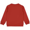 Sweat shirt fille TERRE 12 ANS