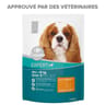 Carrefour companino croquettes pour chien senior mini au poulet - 1.5kg