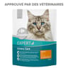 Carrefour companino croquettes pour chat adulte urinary care au poulet 450g