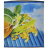 Carrefour bio infusion tilleul menthe bio 20 sachets - 26g