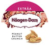 Haagen dazs pot peanut butter 650ml 560g