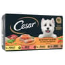 Cesar pâtée pour chien aux légumes en terrine 4x150g