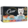 Cesar pâtée pour chien senior 4 variétés en gelée 4x150g