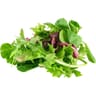 SALADE JEUNE POUSSE BIO BARQUETTE 100G CARREFOUR BIO