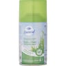 Carrefour essential recharge spray automatique rosée du matin 250ml