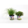 Nourriture animaux pot 12 cm potcover