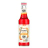 Monin sirop Spritz 33cl
