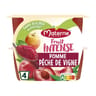 Materne compotes fruit intense pomme pêche de vigne 4x100g